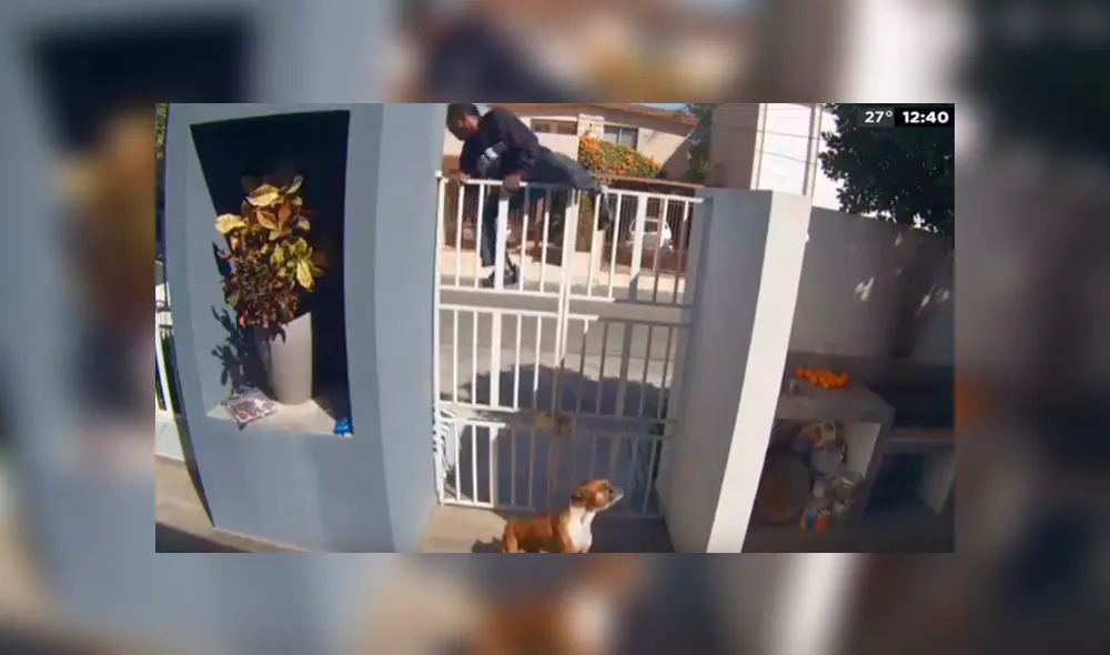 Sigue para ver el desenlace de este video viral de YouTube. Foto: Captura. Sigue para ver el desenlace de este video viral de YouTube. Foto: Captura.