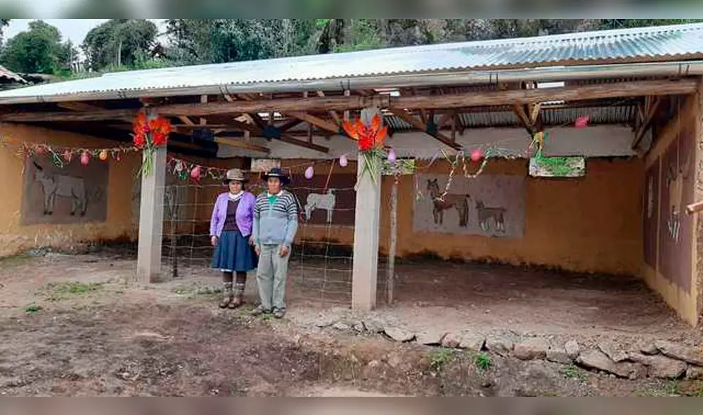 Cobertizos fueron entregados pobladores de la comunidad campesina de Anansaya. Cobertizos fueron entregados pobladores de la comunidad campesina de Anansaya.