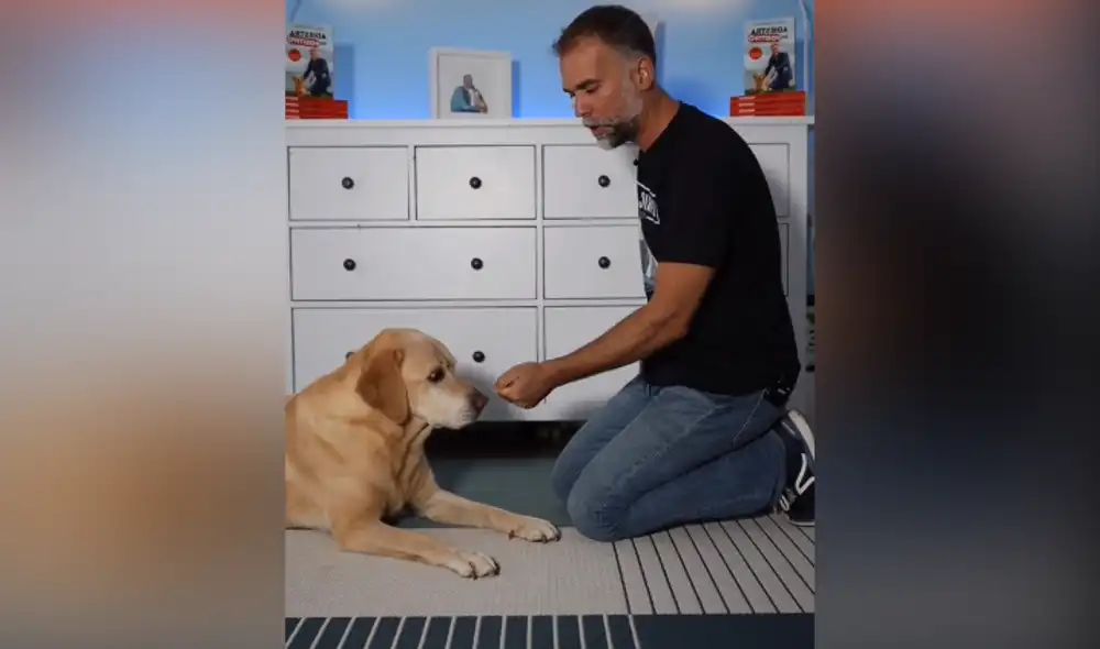 Desliza hacia la izquierda para ver las imágenes del video viral. Foto: captura de YouTube.