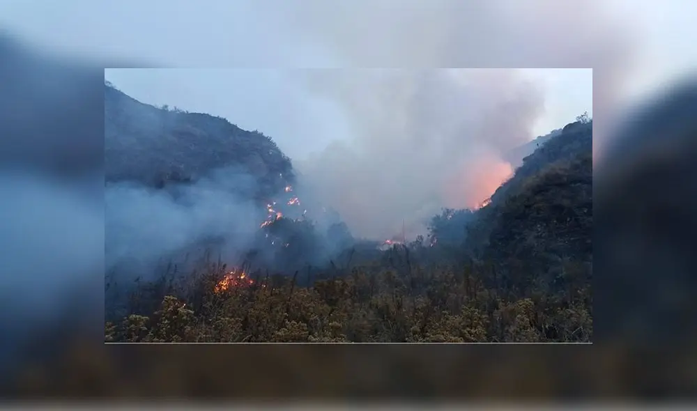 Incendios en Bosque de Chinchay pone en peligro vida de animales. Foto: Radio Titanka.