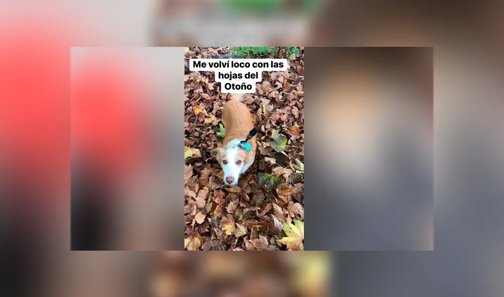 Desliza para ver los detalles de esta historia que conmovió a todos en Facebook. Foto: Captura. Desliza para ver los detalles de esta historia que conmovió a todos en Facebook. Foto: Captura.