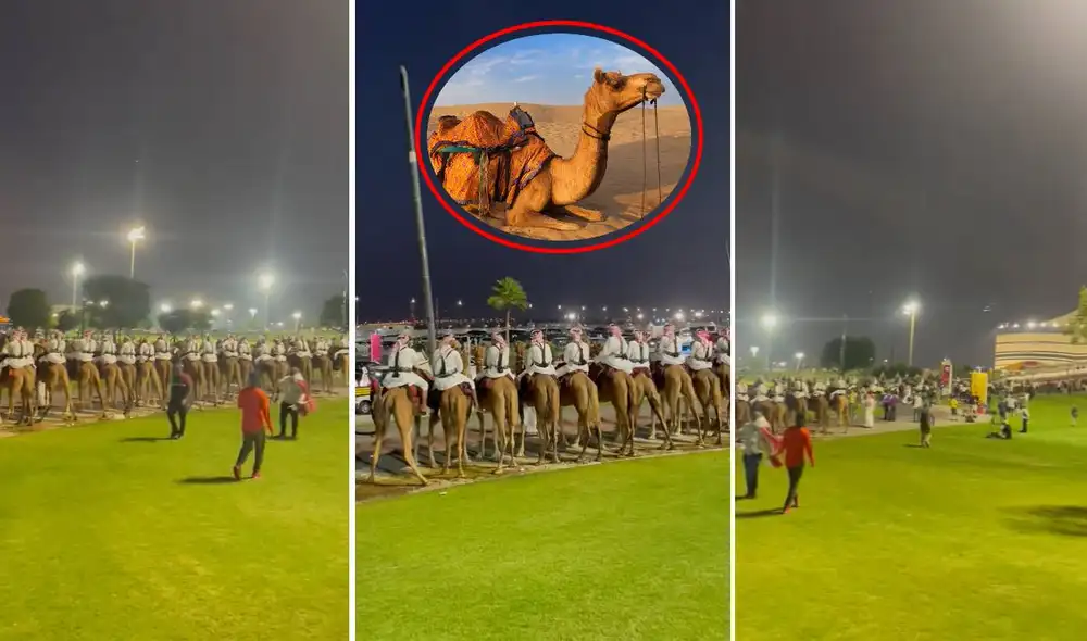 El video no tardó en viralizarse en las redes sociales. Foto: composición LR/captura de Twitter/@ESPN