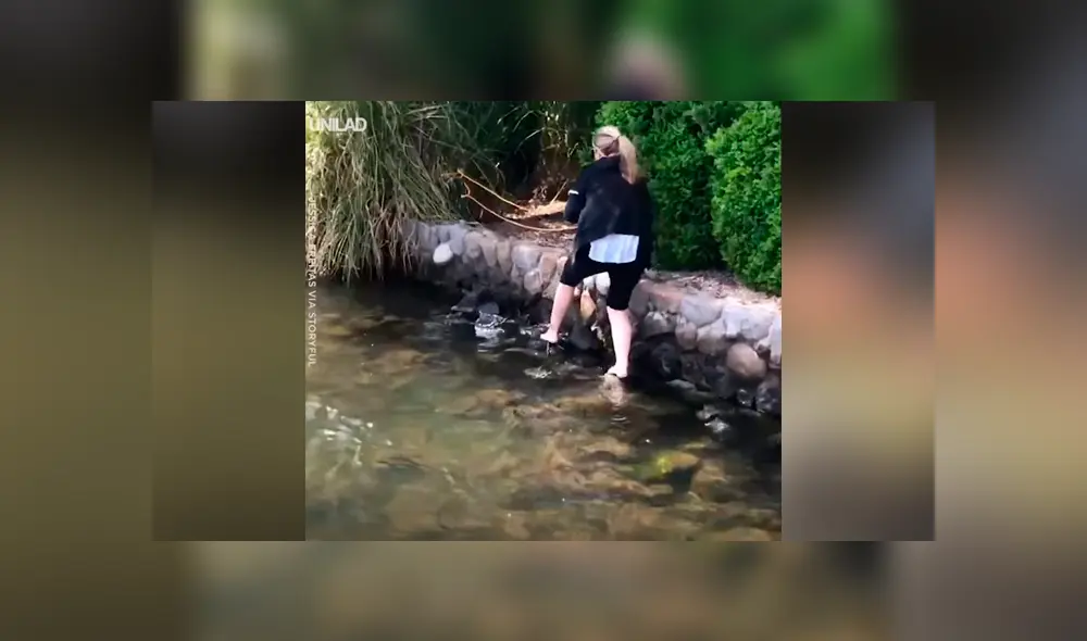 Oyen desgarradores sonidos en laguna, se acercan y rescatan a ciervo bebé [VIDEO] 