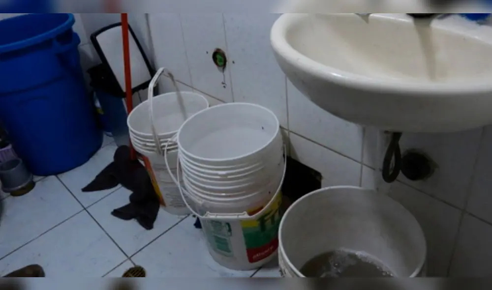 Puno: Hallan excrementos de ratones en pollerías insalubres de Juliaca [FOTOS]