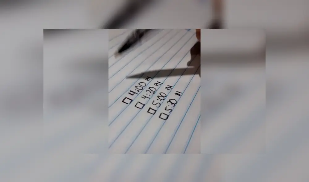 Desliza las imágenes hacia la izquierda para conocer la entretenida actuación de un loro al parodiar al ‘Grinch’. Foto: Captura. Desliza las imágenes hacia la izquierda para conocer la entretenida actuación de un loro al parodiar al ‘Grinch’. Foto: Captura.