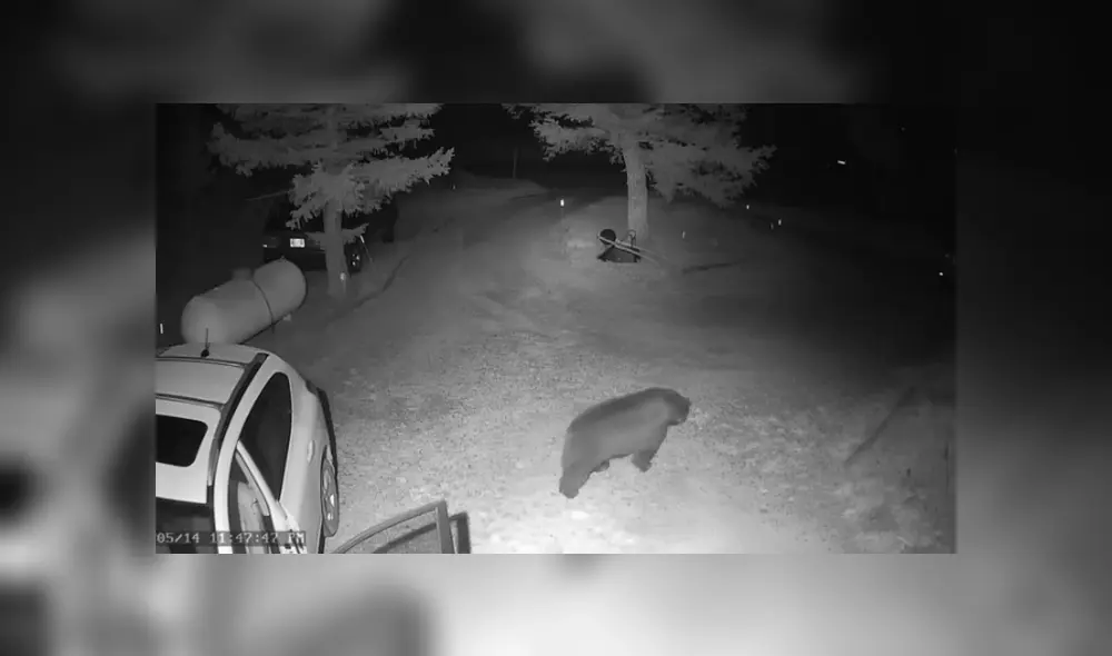 Desliza hacia la izquierda para ver las imágenes del viral de Facebook.