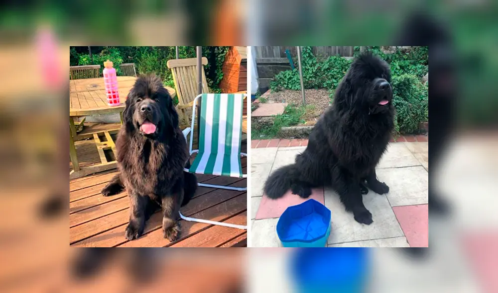 Desliza las imágenes hacia la izquierda para conocer la terrible experiencia que vivió una mujer al comprar por Internet. Foto: Upsocl.