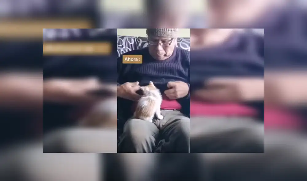 Desliza las imágenes hacia la izquierda para conocer la amorosa amistad de un señor con un pequeño gato. Foto: Captura. Desliza las imágenes hacia la izquierda para conocer la amorosa amistad de un señor con un pequeño gato. Foto: Captura.