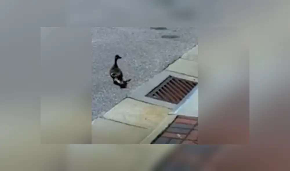 Desliza para ver los momento más impactantes del conmovedor video que se hizo viral en Facebook. Desliza para ver los momento más impactantes del conmovedor video que se hizo viral en Facebook.