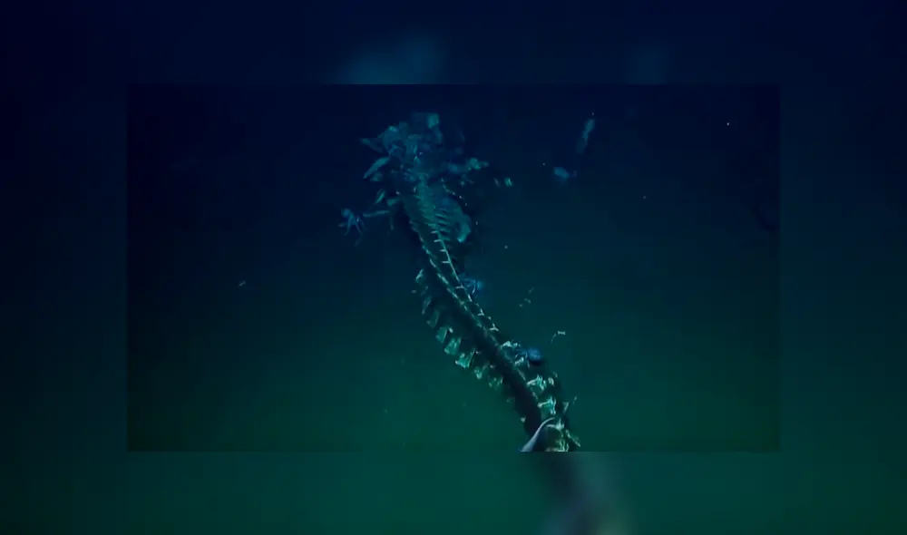 El sorprendente hallazgo ayudará a los científicos a conocer el nivel de oxígeno que hay en las profundidades. Foto: captura