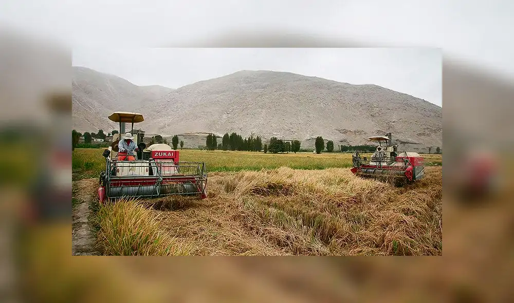 Continuación de estudios para presa de Tambo se define próxima semana