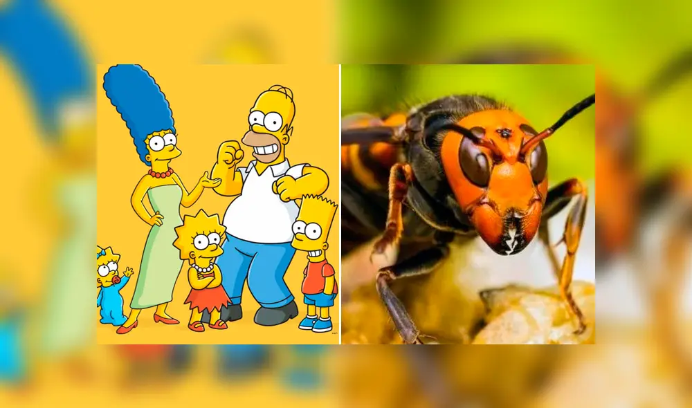 Desliza la imagen de Facebook para verlas todas. Desliza la imagen de Facebook para verlas todas.