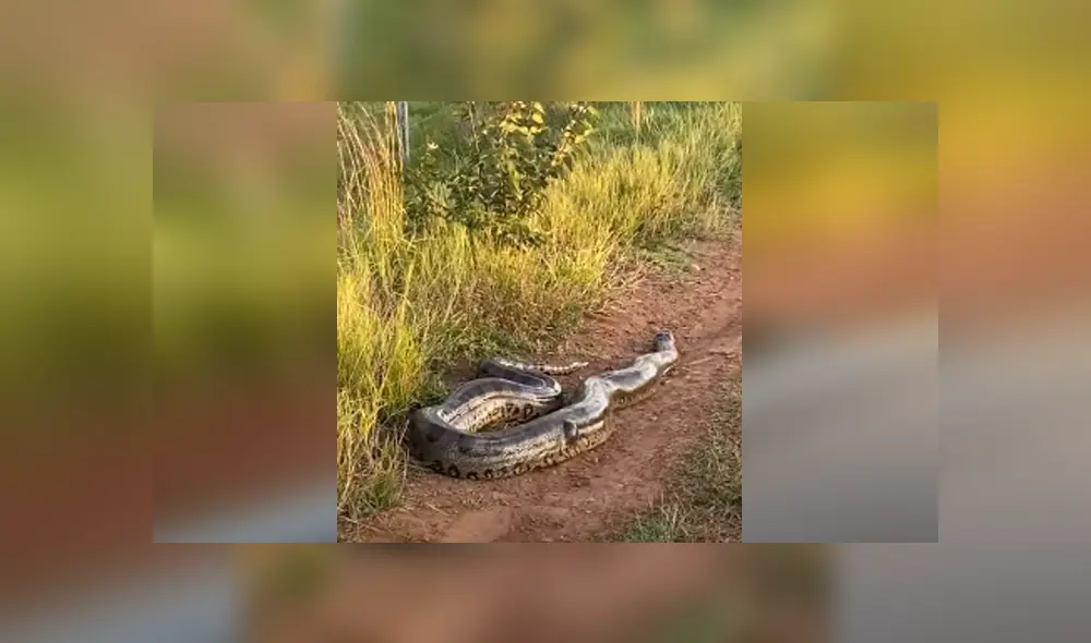 Desliza hacia la izquierda para ver las imágenes del viral de YouTube. Foto: Captura. Desliza hacia la izquierda para ver las imágenes del viral de YouTube. Foto: Captura.