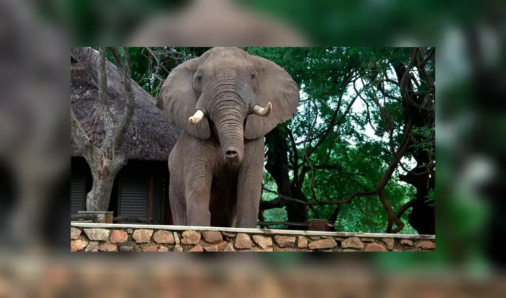 Desliza para ver los momentos más sorprendentes del video que se hizo viral en YouTube. Desliza para ver los momentos más sorprendentes del video que se hizo viral en YouTube.