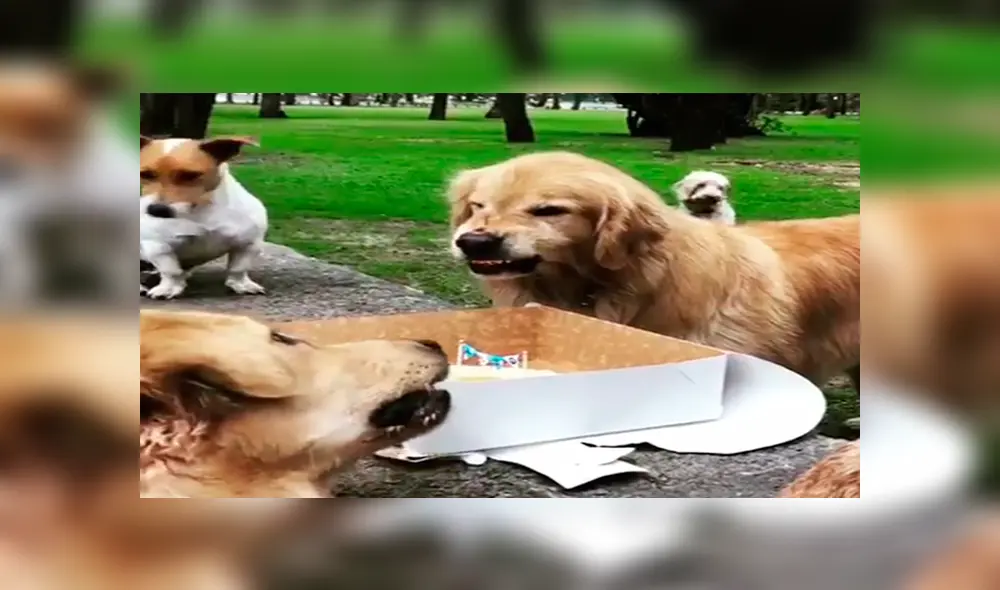 Desliza para ver detalles de este video viral publicado en Facebook. Foto: Captura.