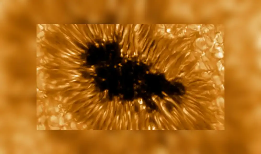 Mancha solar observada en alta resolución por el telescopio GREGOR. Foto: Leibniz-kis.de Mancha solar observada en alta resolución por el telescopio GREGOR. Foto: Leibniz-kis.de