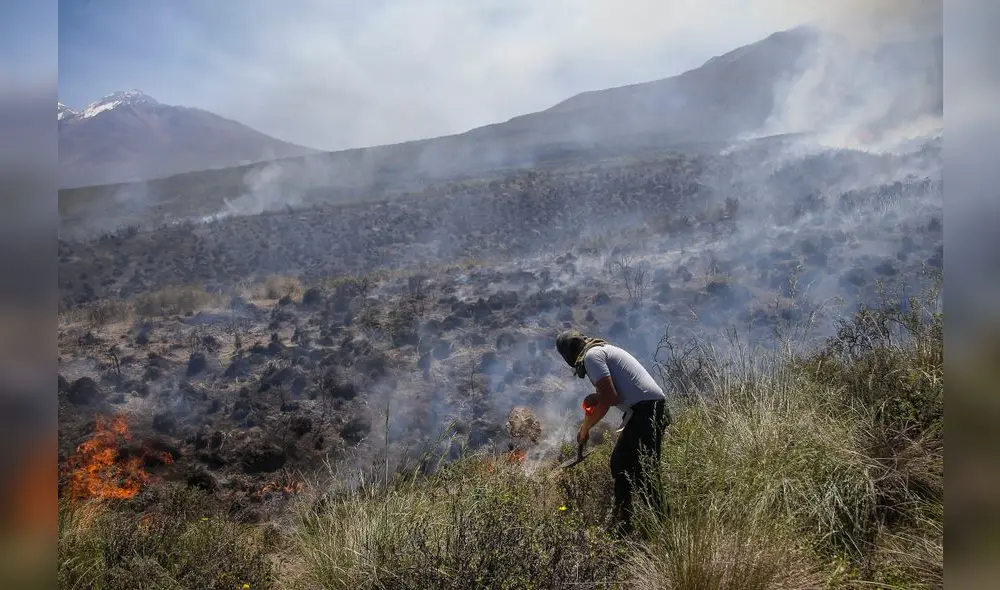 DAÑO ENORME. Extensas áreas de flora son arrasadas por el fuego. De acuerdo a especialistas, recuperación es lenta. DAÑO ENORME. Extensas áreas de flora son arrasadas por el fuego. De acuerdo a especialistas, recuperación es lenta.