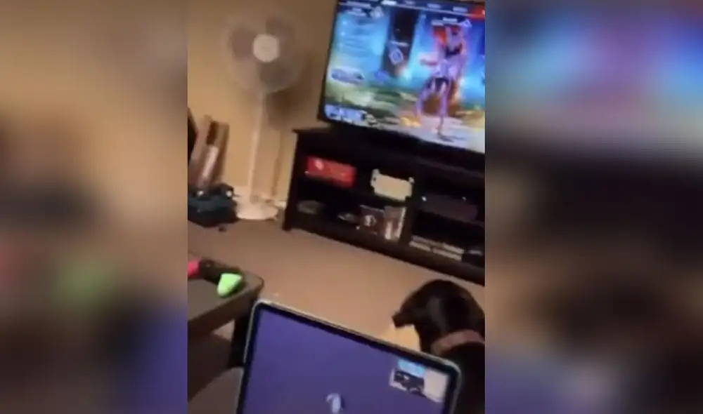 Desliza las imágenes para ver más detalles sobre la curiosa reacción que tuvo este perrito al pensar que estaba en 'peligro'. Foto: captura de TikTok