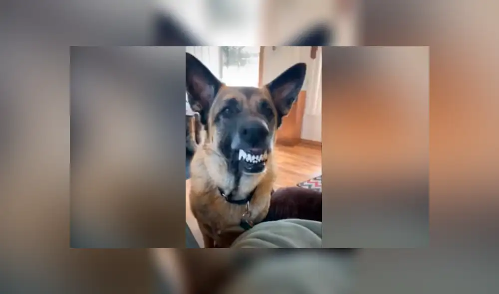 Desliza hacia la izquierda para ver las imágenes del viral de YouTube. Foto: Captura. Desliza hacia la izquierda para ver las imágenes del viral de YouTube. Foto: Captura.