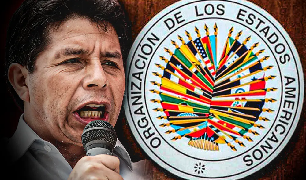 Pedro Castillo solicitó a la OEA que se active la Carta Democrática. Foto: composición Gerson Cardoso Pedro Castillo solicitó a la OEA que se active la Carta Democrática. Foto: composición Gerson Cardoso