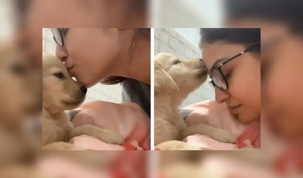 Desliza las imágenes para ver la tierna escena que protagonizó un perro bebé con su dueña. Foto: Caters Clips/Captura Desliza las imágenes para ver la tierna escena que protagonizó un perro bebé con su dueña. Foto: Caters Clips/Captura