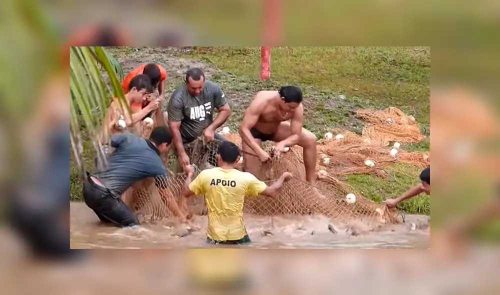 YouTube viral: Entran a pescar y quedan en shock al ver extrañas criaturas en su red [VIDEO]