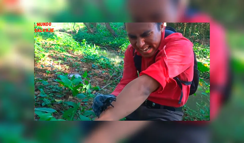 Desliza las imágenes para ver lo que sucedió con este joven investigador. Foto: YouTube Desliza las imágenes para ver lo que sucedió con este joven investigador. Foto: YouTube