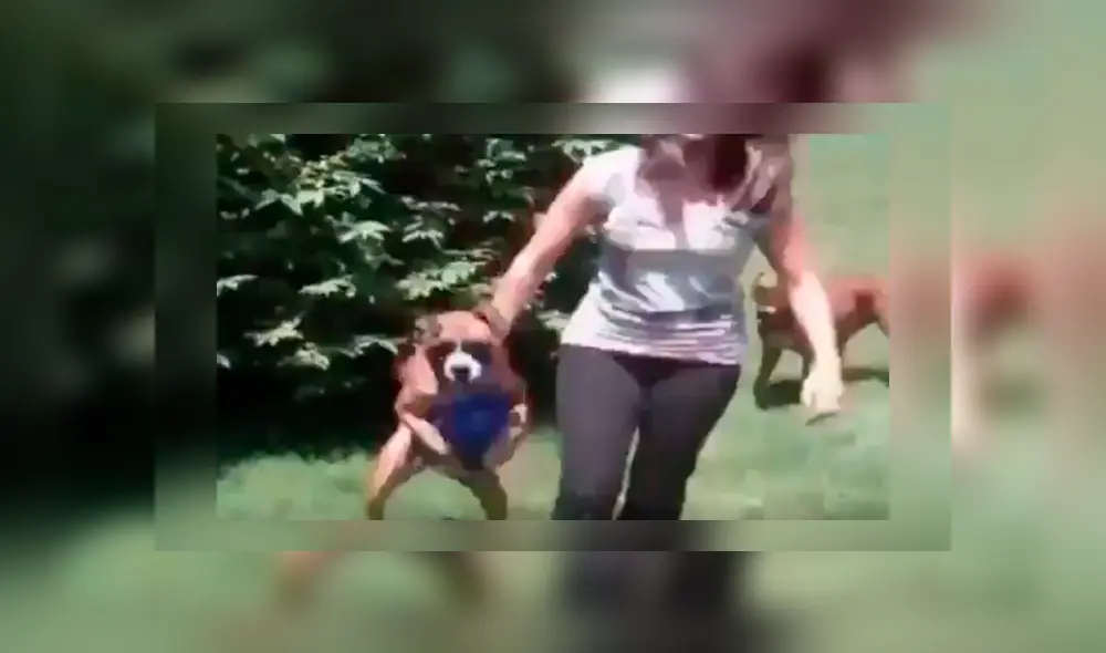 El can quería seguir jugando con su dueña y protagonizó un gracioso episodio que se ha hecho viral en Facebook