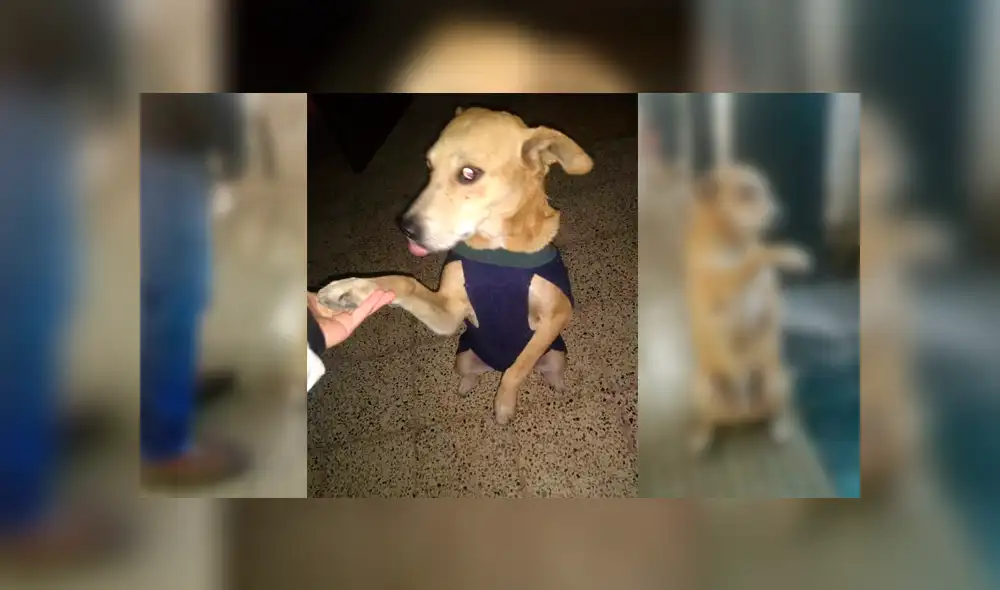 Desliza para ver el desenlace de esta conmovedora historia que es viral en Facebook. Foto: Captura.