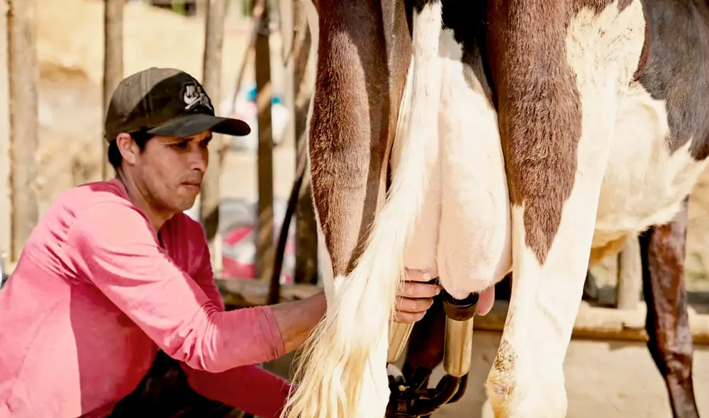 Foto: captura de video de Agalep Foto: captura de video de Agalep