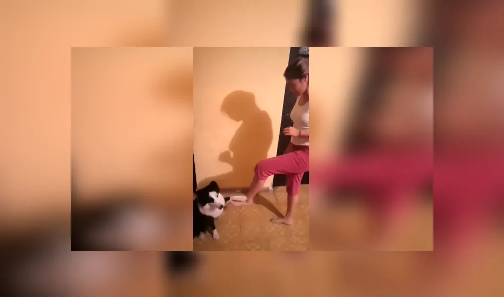 Desliza las imágenes para apreciar los divertidos pasos que realizó un perro con su dueña para cumplir un reto.