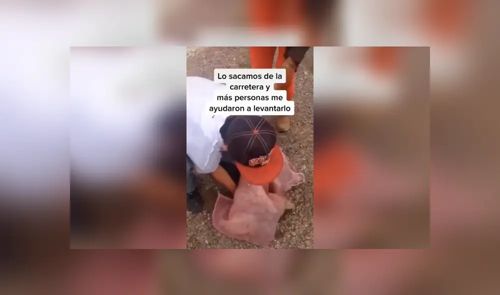 Desliza las imágenes para conocer la conmovedora historia de un perro que recibió ayuda tras ser atropellado. Fotocaptura: Facebook. Desliza las imágenes para conocer la conmovedora historia de un perro que recibió ayuda tras ser atropellado. Fotocaptura: Facebook.