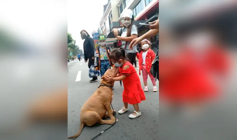 Desliza las imágenes para ver la tierna escena que protagonizó una pequeña al abrazar a un perro que conoció en la calle. Foto: captura de YouTube