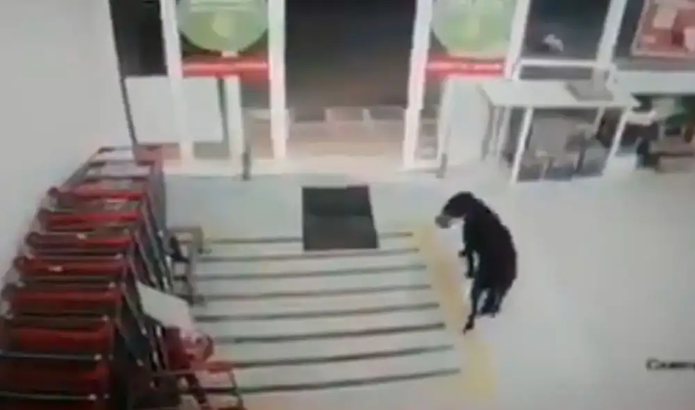 Desliza las imágenes para descubrir la terrible acción de un perro callejero tras ingresar a un supermercado. Foto: captura de Facebook