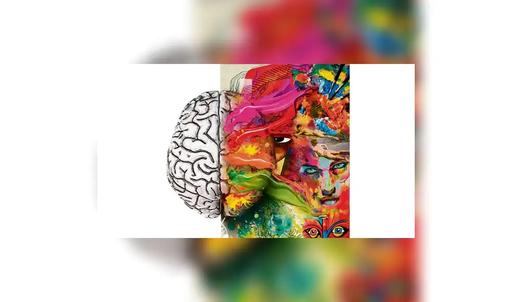 El cerebro, una obra de arte El cerebro, una obra de arte