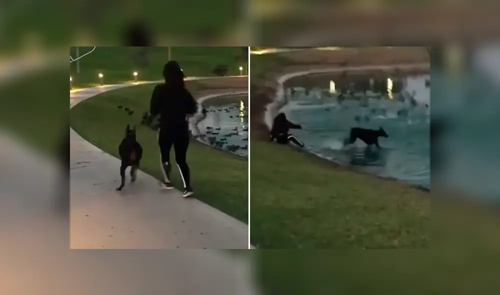 Desliza para ver los momentos más divertidos del video que se hizo viral en Facebook. Desliza para ver los momentos más divertidos del video que se hizo viral en Facebook.