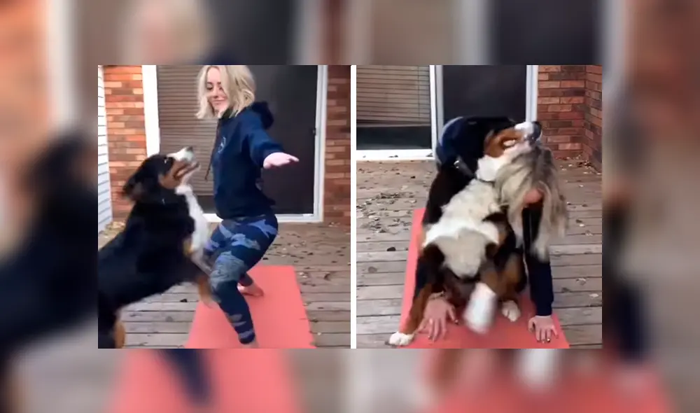 En Facebook, una joven intentó realizar un tutorial de yoga en su casa y no imaginó que su perro lo evitaría.
