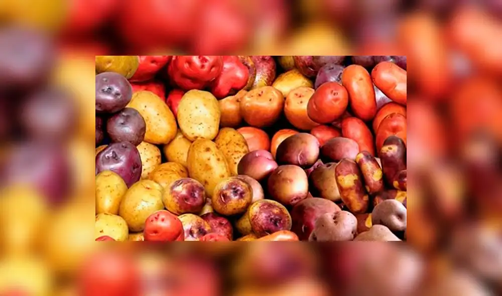 Investigación revela que las papas pueden cultivarse en Marte