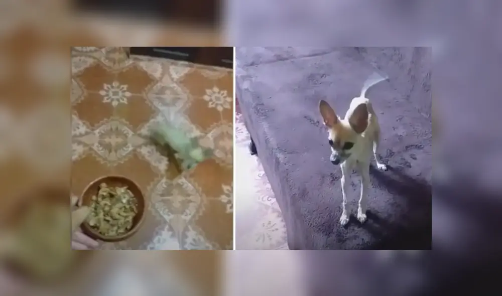 Desliza hacia la izquierda para ver las imágenes del viral de Facebook. Foto: Captura. Desliza hacia la izquierda para ver las imágenes del viral de Facebook. Foto: Captura.