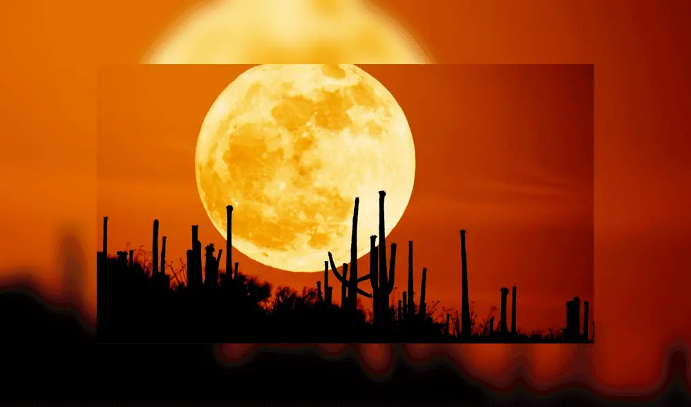 Viernes 13: ¿Qué es la ‘luna de cosecha’ y por qué la veremos nuevamente en 30 años?