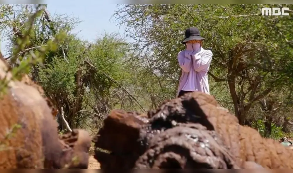 Park Shin Hye rompe en llanto al contar su experiencia sobre la caza ilegal de elefantes [VIDEO]