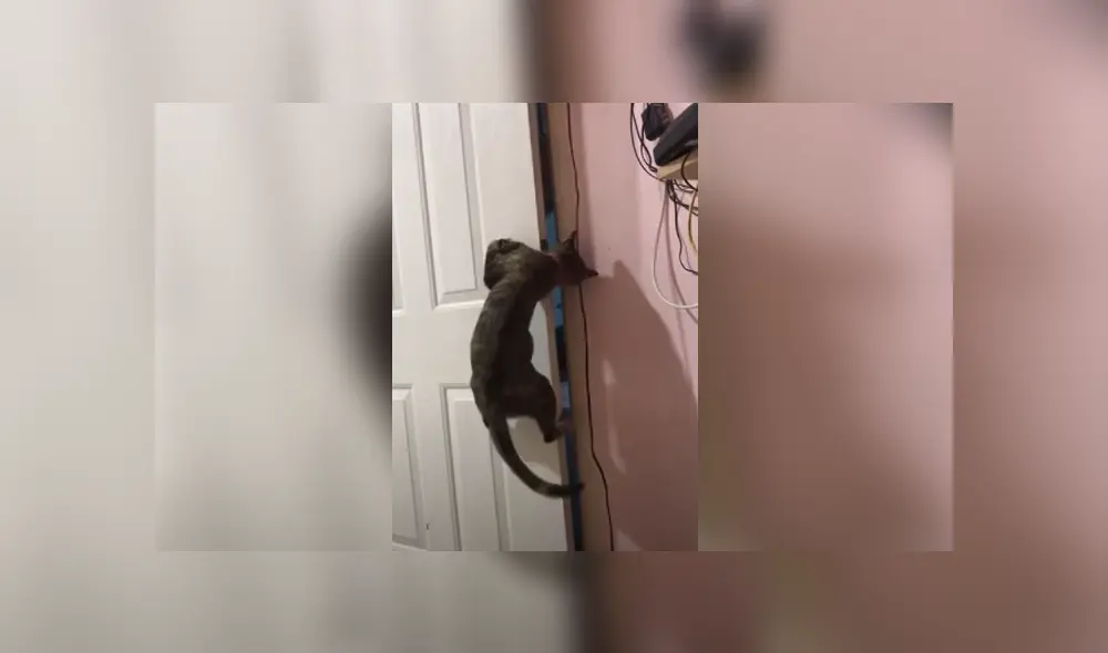 Desliza hacia la izquierda para ver las imágenes del viral de Facebook. Foto: Captura. Desliza hacia la izquierda para ver las imágenes del viral de Facebook. Foto: Captura.