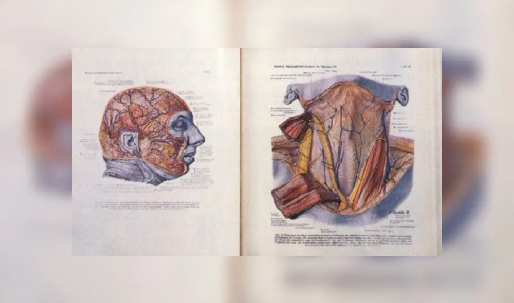 Más de 60 años después, el atlas sigue siendo uno de los mejores recursos para obtener información visual para trabajos anatómicos y quirúrgicos detallados Más de 60 años después, el atlas sigue siendo uno de los mejores recursos para obtener información visual para trabajos anatómicos y quirúrgicos detallados