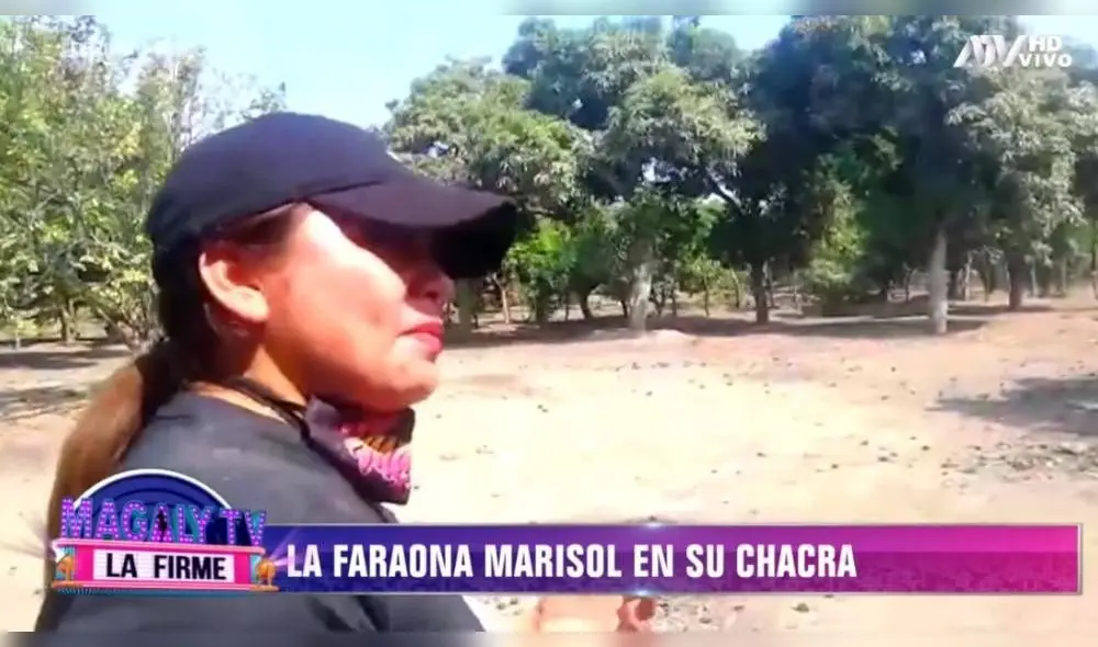 La intérprete de “La escobita” demostró su buen estado de salud al cosechar limones y otros frutos en su chacra. (Foto: Captura ATV)