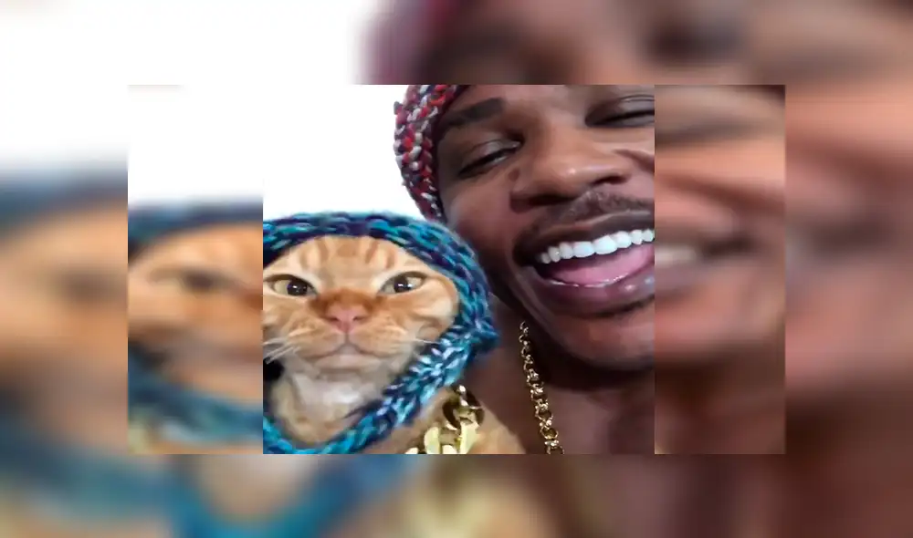 Facebook viral: joven juega con su pequeño gato y le dedica una canción de Drake a su propio estilo [VIDEO]