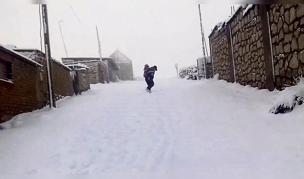 Nevada obliga a suspender labores en zonas más afectadas de Puno