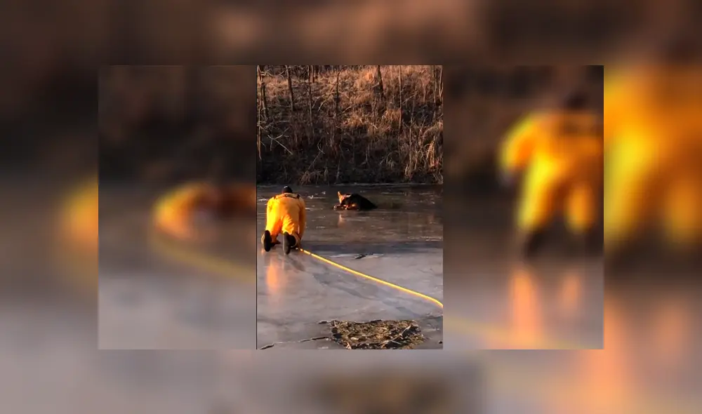 En Facebook, un grupo de bomberos ayudó a un indefenso perro que cayó a un lago congelado.