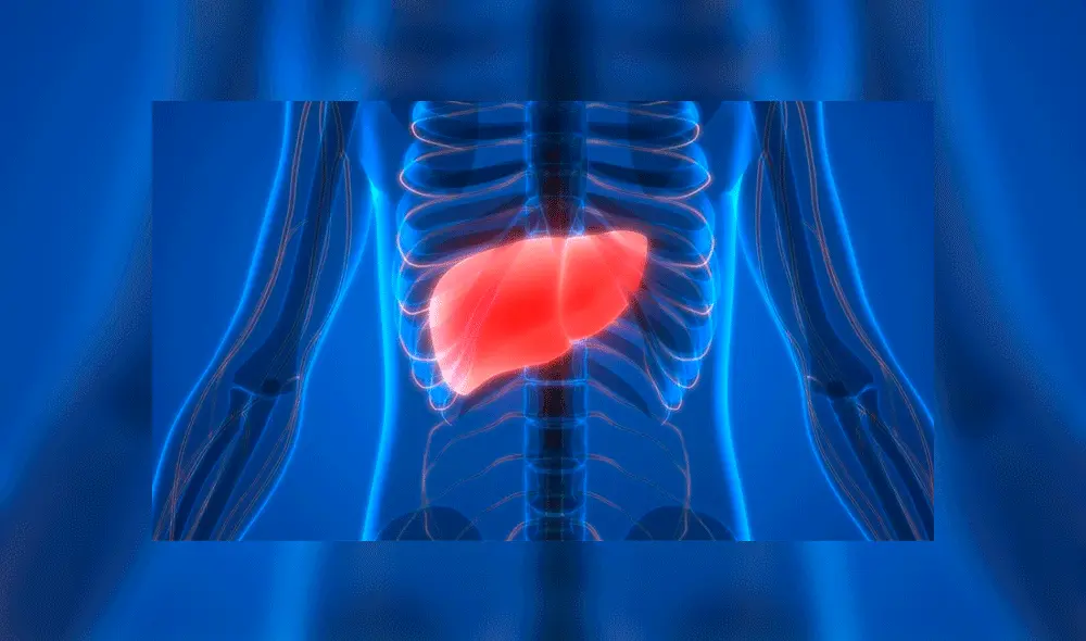 Los doctores extrajeron el 65% del hígado de la mujer. Fuente: imagen referencial. Los doctores extrajeron el 65% del hígado de la mujer. Fuente: imagen referencial.