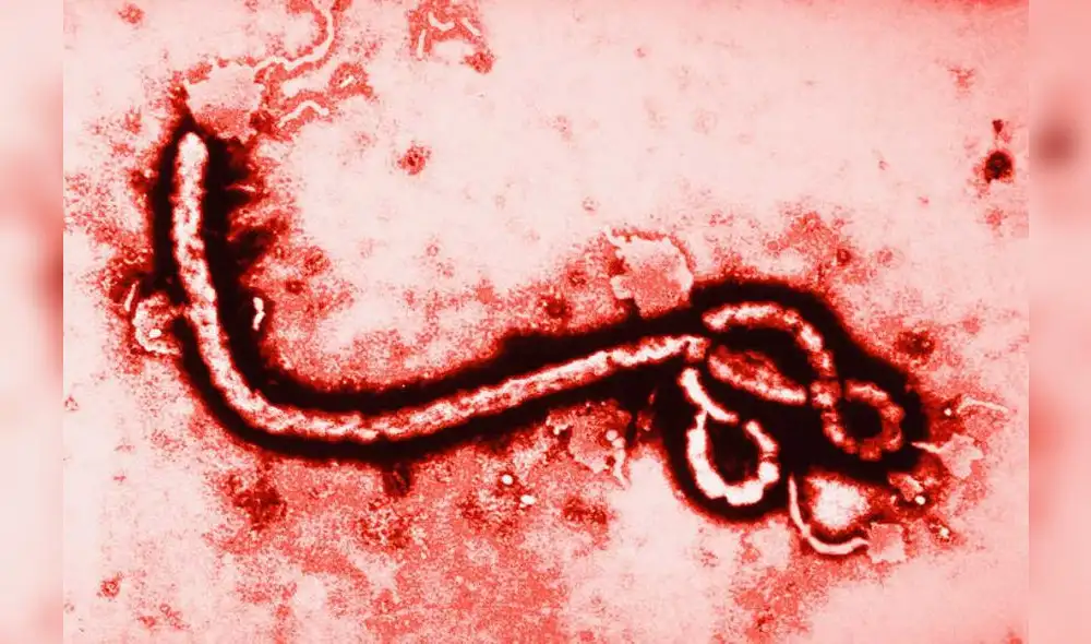 El último 1 de junio, la República Democrática del Congo (RDC), en África, declaró una nueva epidemia de ébola tras el rebrote de un foco en el noreste del país. (Foto: RTVE)