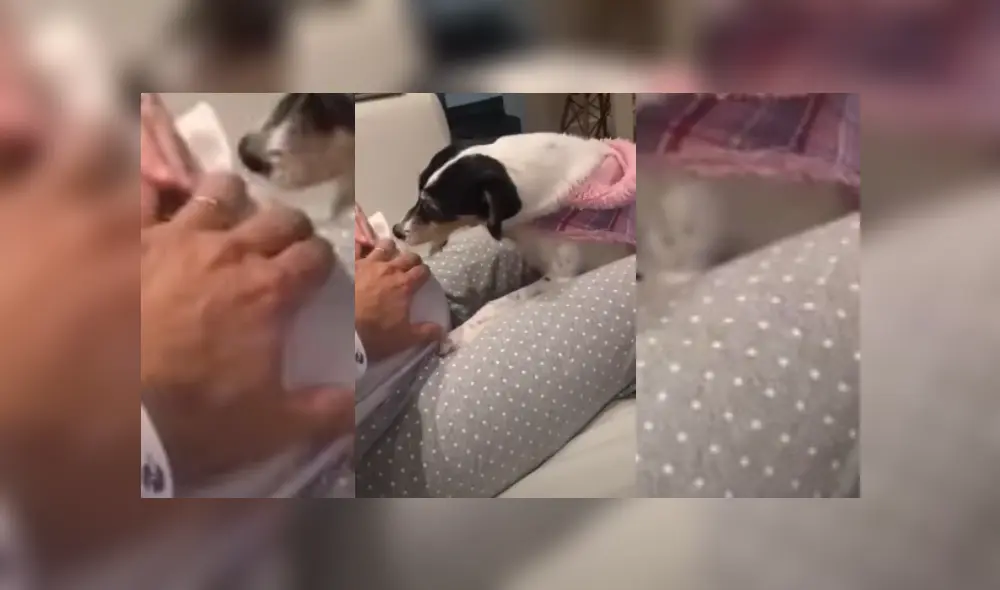 Desliza hacia la izquierda para ver más del video viral Desliza hacia la izquierda para ver más del video viral